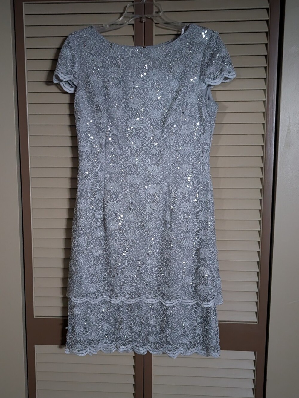 Alex Evenings Silver Dress with Sparkle Accents